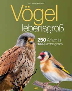 Voegel_22