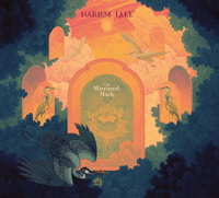 Harlem Lake - The Mirrored Mask_1000