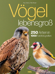 Paul Sterry/Rob Read, Vgel lebensgro